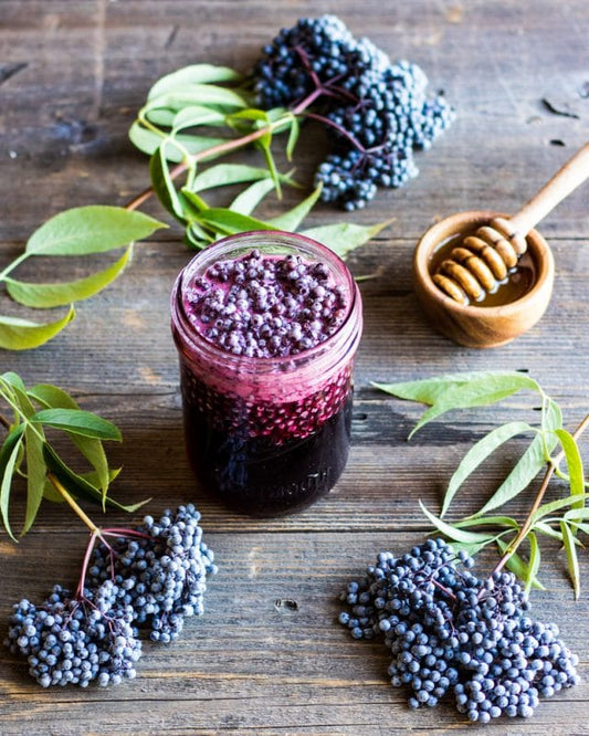 Corona Virus Defence and Elderberry Syrup: Naturally boost your Immune System